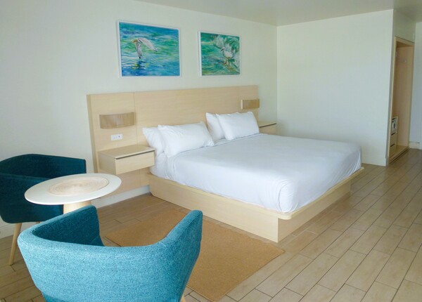 Ground Floor Handicap King Photo 1