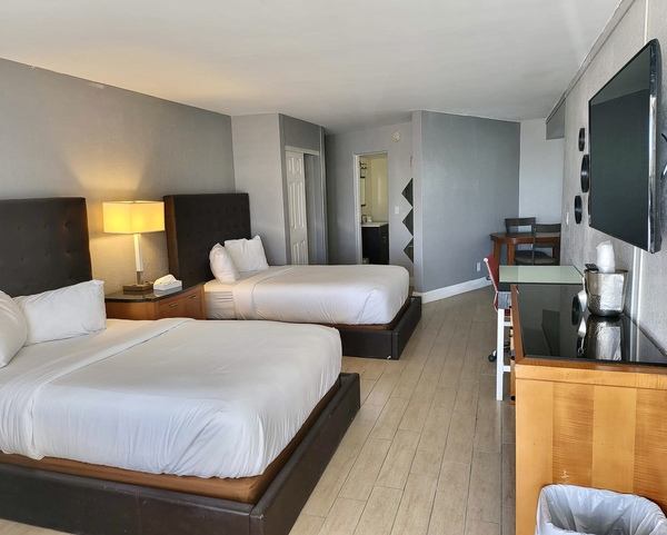 Ground Floor Double with kitchen Photo 2